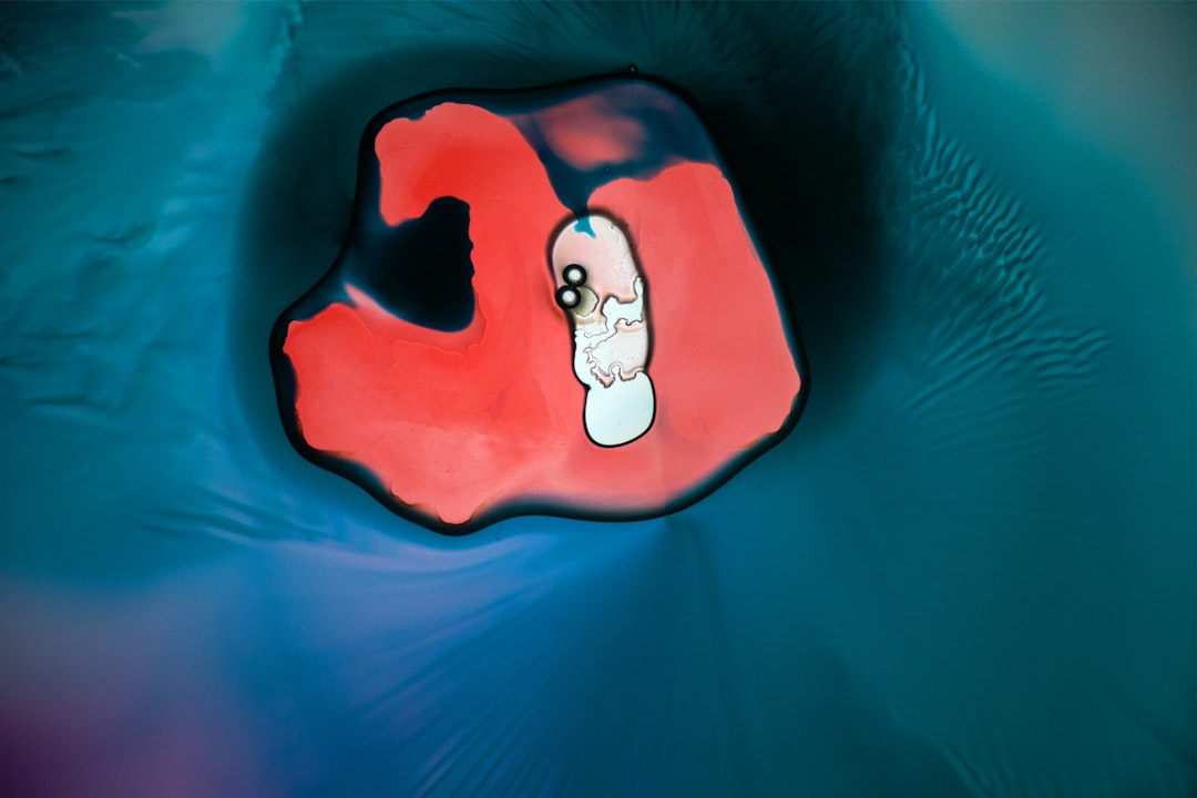 Photo holter ecg