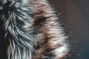 Photo fur vest